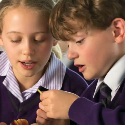 Years 9-11 in the United Kingdom